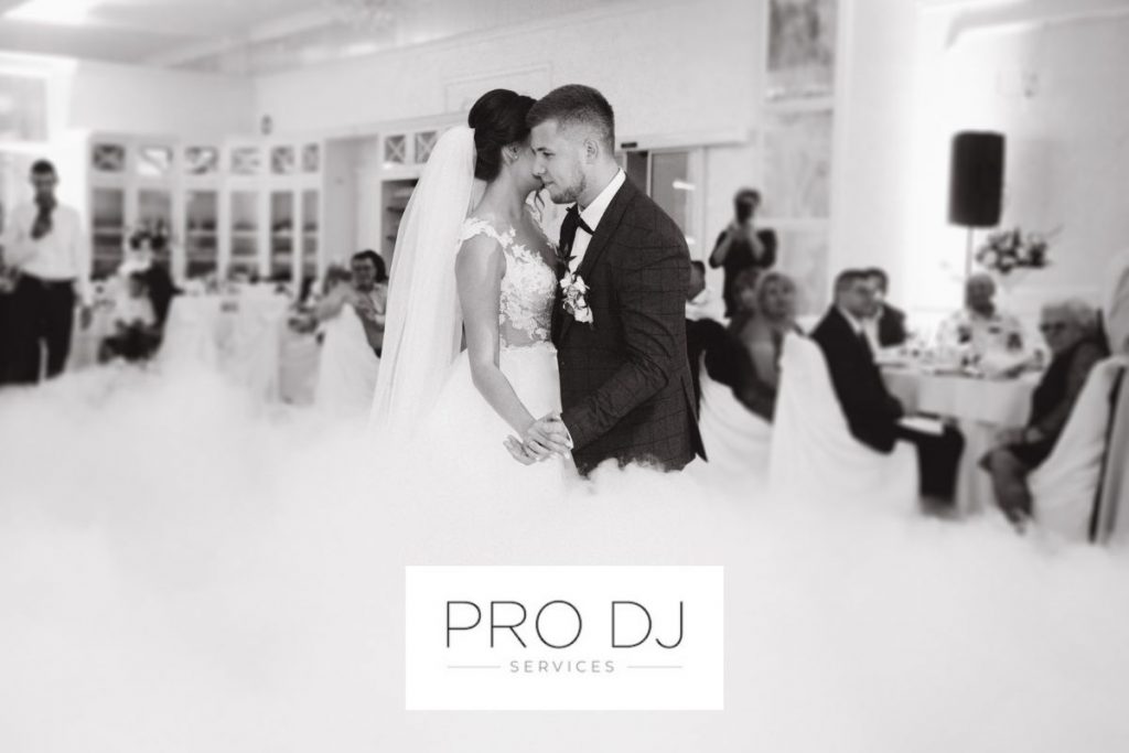 Pro DJ Services Best Wedding DJs